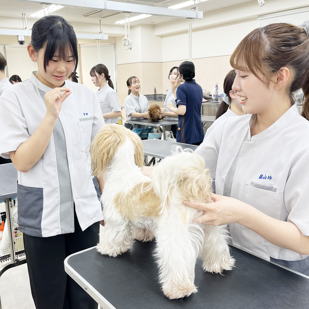 “ステイ”の練習♪